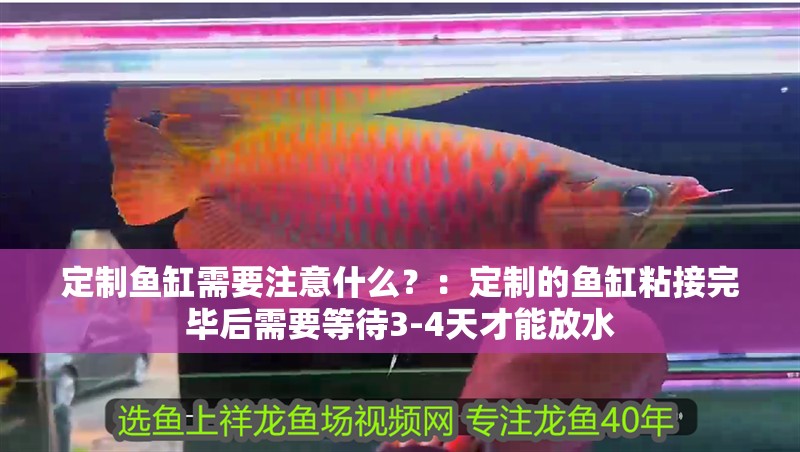 定制魚缸需要注意什么？：定制的魚缸粘接完畢后需要等待3-4天才能放水
