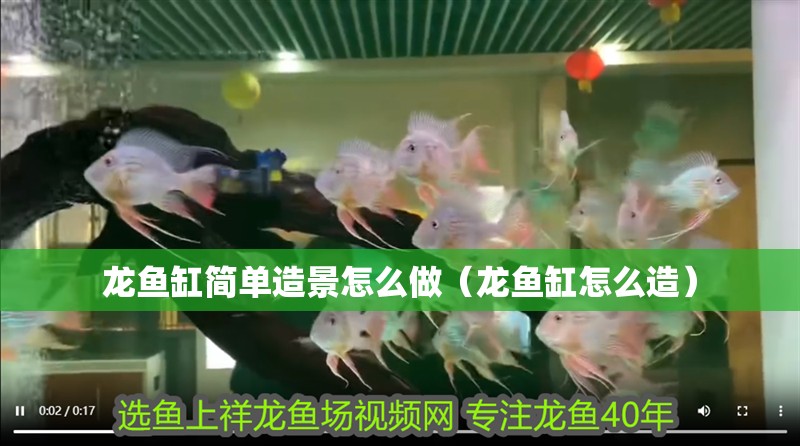 龍魚缸簡單造景怎么做（龍魚缸怎么造）