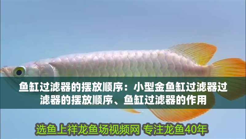 魚缸過濾器的擺放順序：小型金魚缸過濾器過濾器的擺放順序、魚缸過濾器的作用 魚缸過濾器的擺放順序：小型金魚缸過濾器過濾器的擺放順序、魚缸過濾器的作用 魚缸百科