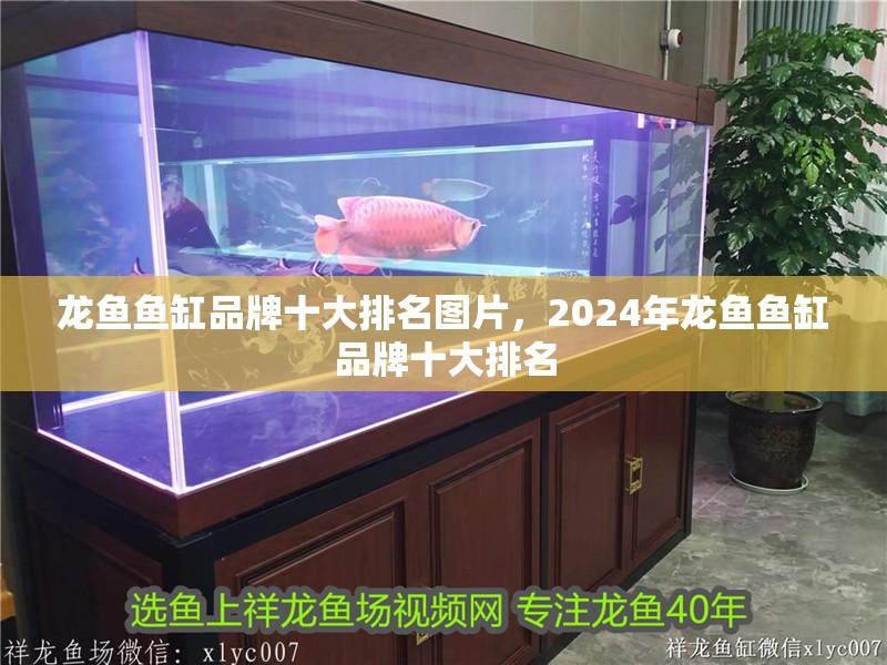 龍魚魚缸品牌十大排名圖片，2024年龍魚魚缸品牌十大排名