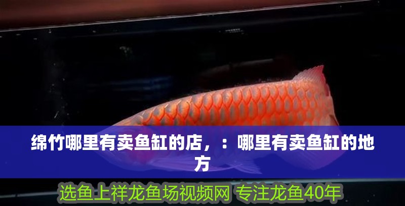 綿竹哪里有賣魚缸的店，：哪里有賣魚缸的地方