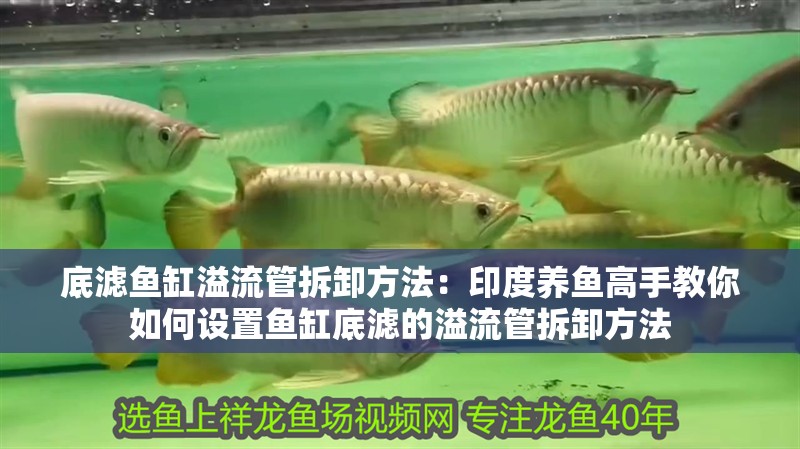 底濾魚(yú)缸溢流管拆卸方法：印度養(yǎng)魚(yú)高手教你如何設(shè)置魚(yú)缸底濾的溢流管拆卸方法