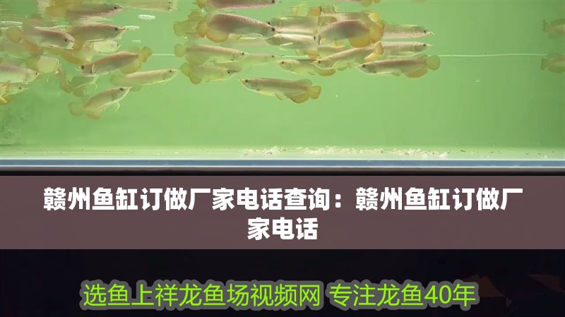 贛州魚缸訂做廠家電話查詢：贛州魚缸訂做廠家電話