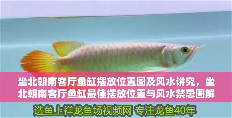 坐北朝南客廳魚缸擺放位置圖及風水講究，坐北朝南客廳魚缸最佳擺放位置與風水禁忌圖解