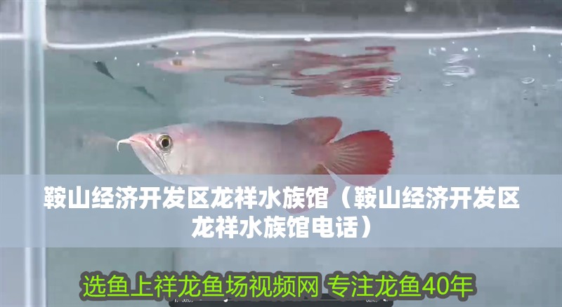 <strong><mark>鞍山</mark></strong>經濟開發區龍祥水族館（<strong><mark>鞍山</mark></strong>經濟開發區龍祥水族館電話）