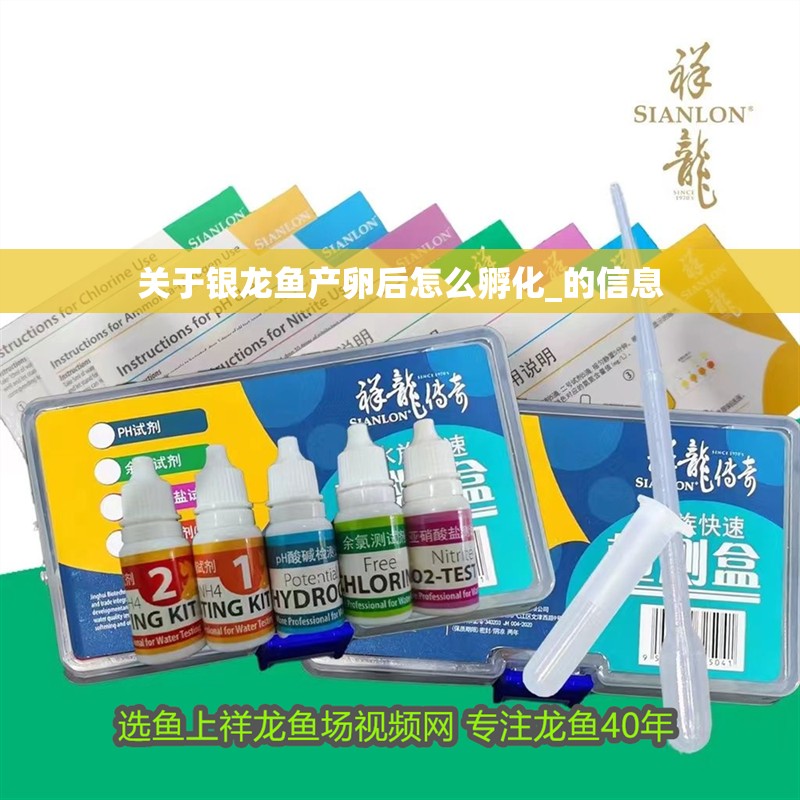 關于銀龍魚產卵后怎么孵化_的信息