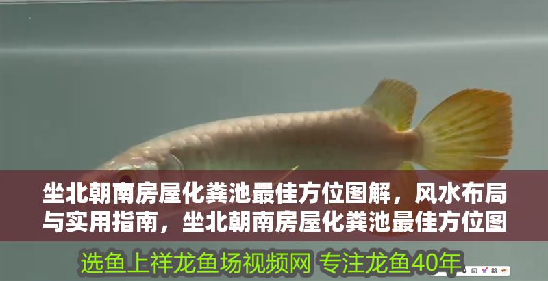 坐北朝南房屋化糞池最佳方位圖解，風水布局與實用指南，坐北朝南房屋化糞池最佳方位圖解，風水布局與實用指南