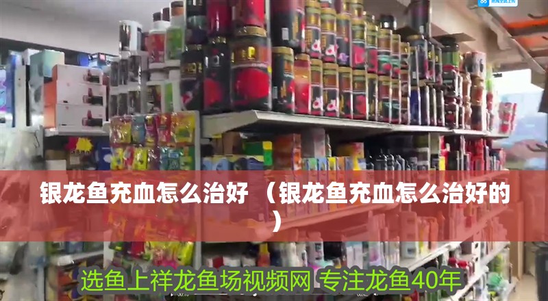 銀龍魚充血怎么治好 （銀龍魚充血怎么治好的）
