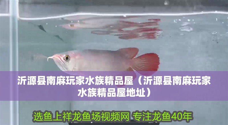 沂源縣南麻玩家水族精品屋（沂源縣南麻玩家水族精品屋地址）