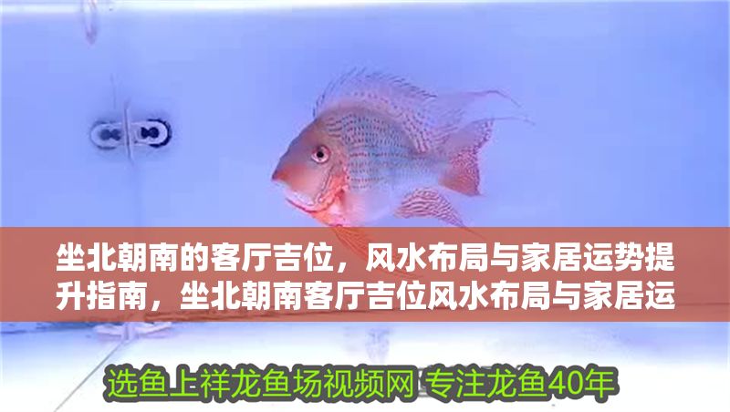 坐北朝南的客廳吉位，風(fēng)水布局與家居運(yùn)勢(shì)提升指南，坐北朝南客廳吉位風(fēng)水布局與家居運(yùn)勢(shì)提升全攻略