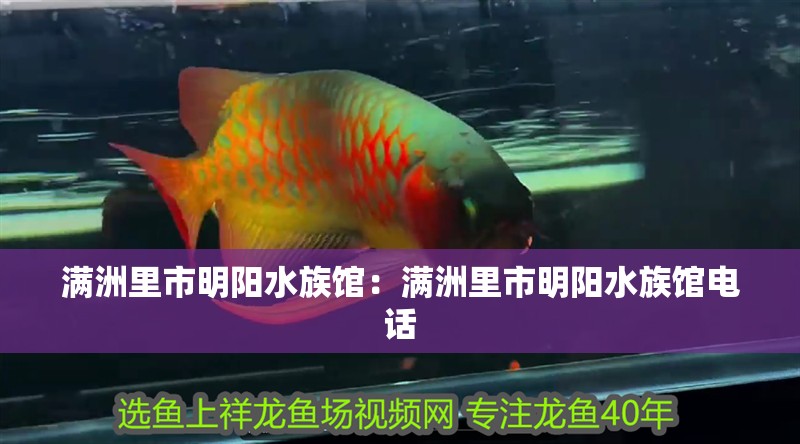 滿洲里市明陽水族館：滿洲里市明陽水族館電話