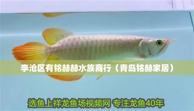 李滄區(qū)有銘赫赫水族商行（青島銘赫家居）