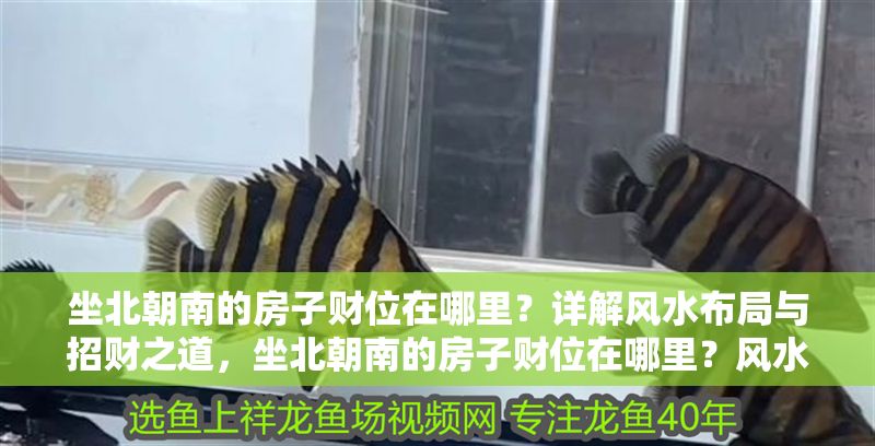 坐北朝南的房子財位在哪里？詳解風水布局與招財之道，坐北朝南的房子財位在哪里？風水布局與招財方法全解析