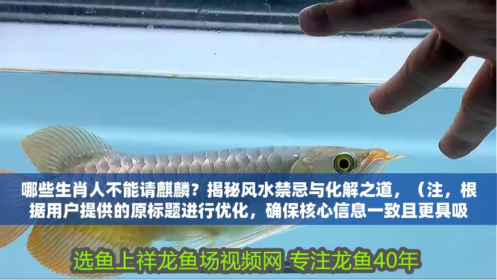 哪些生肖人不能請麒麟？揭秘風(fēng)水禁忌與化解之道，（注，根據(jù)用戶提供的原標(biāo)題進(jìn)行優(yōu)化，確保核心信息一致且更具吸引力），這3大生肖慎請麒麟！觸犯風(fēng)水禁忌的化解方法全公開，優(yōu)化理由，，數(shù)字化聚焦，用3大生肖替代模糊表述，增強(qiáng)可信度與讀者好奇心；，痛點(diǎn)強(qiáng)化，加入慎請警示，突出禁忌的嚴(yán)肅性；，價值明確，強(qiáng)調(diào)化解方法全公開，直接滿足讀者需求，提升點(diǎn)擊欲。