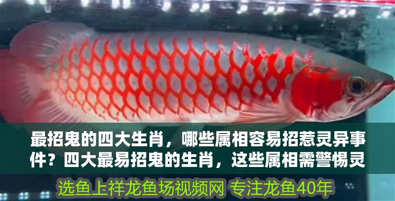 最招鬼的四大生肖，哪些屬相容易招惹靈異事件？四大最易招鬼的生肖，這些屬相需警惕靈異事件！