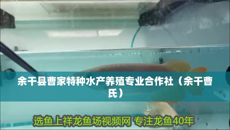 <strong><mark>余干</mark></strong>縣曹家特種水產養殖專業合作社（<strong><mark>余干</mark></strong>曹氏）