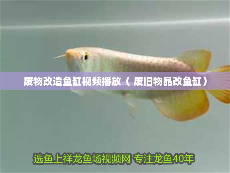 廢物改造魚缸視頻播放（ 廢舊物品改魚缸）