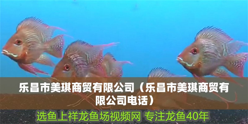 樂昌市美琪商貿有限公司（樂昌市美琪商貿有限公司電話）