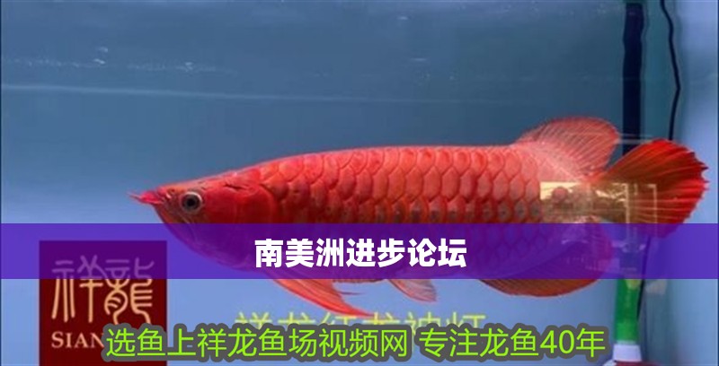 南美洲進(jìn)步論壇