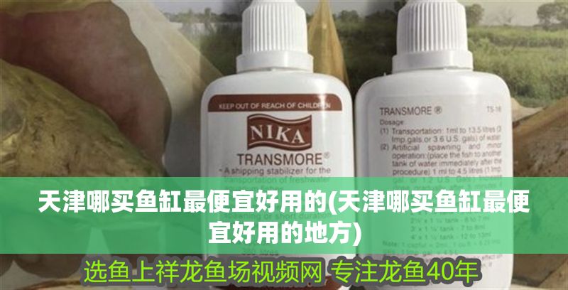 天津哪買魚缸最便宜好用的(天津哪買魚缸最便宜好用的地方)