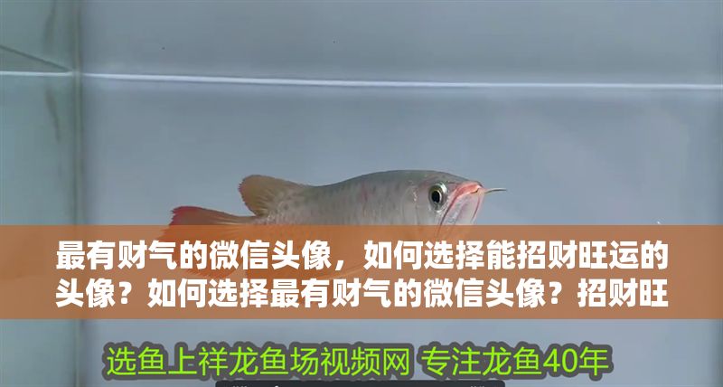 最有財氣的微信頭像，如何選擇能招財旺運的頭像？如何選擇最有財氣的微信頭像？招財旺運的頭像挑選指南
