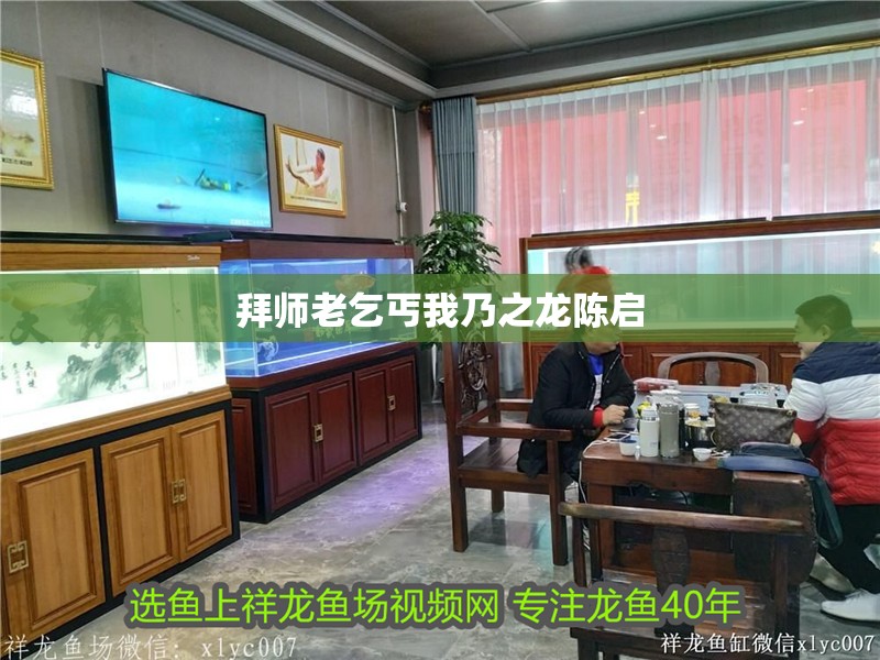 拜師老乞丐我乃之龍陳啟