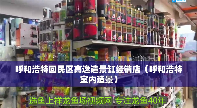 鸚鵡魚和銀龍魚混養(yǎng)怎樣喂食 呼和浩特回民區(qū)高逸造景缸經(jīng)銷店(呼和浩特室內(nèi)造景) 全國(guó)水族館企業(yè)名錄 呼和浩特回民區(qū)高逸造景缸經(jīng)銷店(呼和浩特室內(nèi)造景) 呼和浩特回民區(qū)高逸造景缸經(jīng)銷店(呼和浩特室內(nèi)造景) 全國(guó)水族館企業(yè)名錄