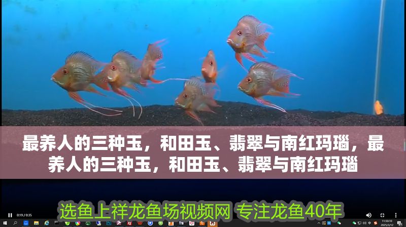 最養人的三種玉，和田玉、翡翠與南紅瑪瑙，最養人的三種玉，和田玉、翡翠與南紅瑪瑙