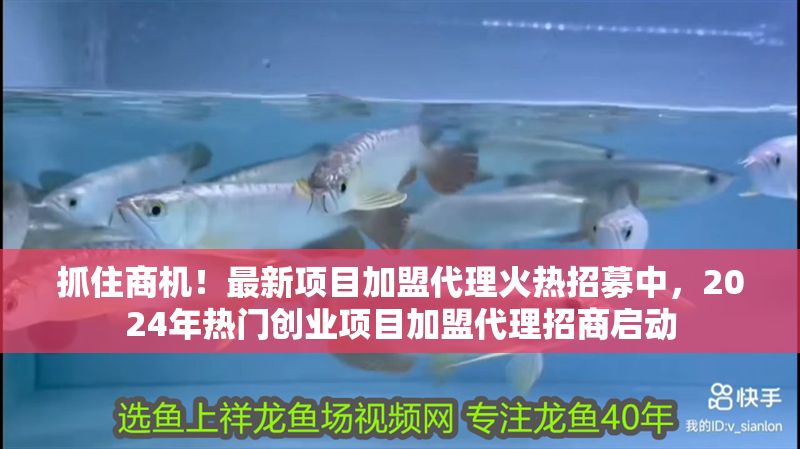 抓住商機(jī)！最新項(xiàng)目加盟代理火熱招募中，2024年熱門創(chuàng)業(yè)項(xiàng)目加盟代理招商啟動(dòng)