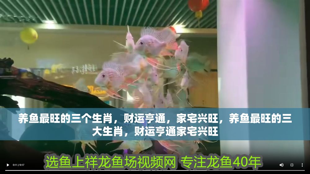 養(yǎng)魚(yú)最旺的三個(gè)生肖，財(cái)運(yùn)亨通，家宅興旺，養(yǎng)魚(yú)最旺的三大生肖，財(cái)運(yùn)亨通家宅興旺