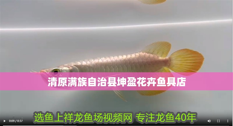 清原滿族自治縣坤盈花卉魚具店