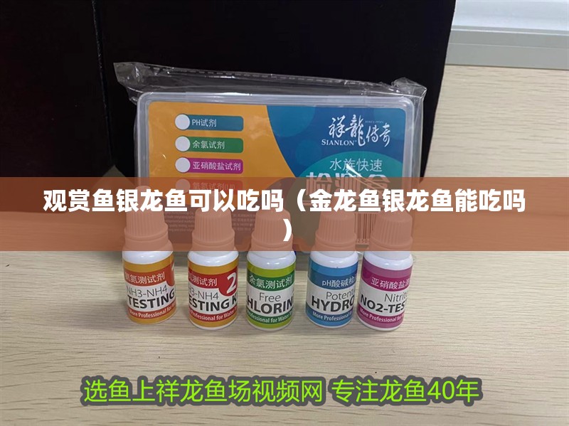 觀賞魚銀龍魚可以吃嗎（金龍魚銀龍魚能吃嗎）