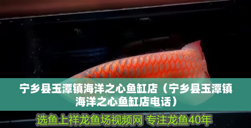 寧鄉縣玉潭鎮海洋之心魚缸店（寧鄉縣玉潭鎮海洋之心魚缸店電話）