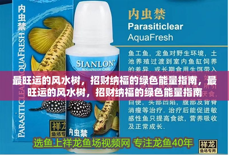 最旺運的風水樹，招財納福的綠色能量指南，最旺運的風水樹，招財納福的綠色能量指南