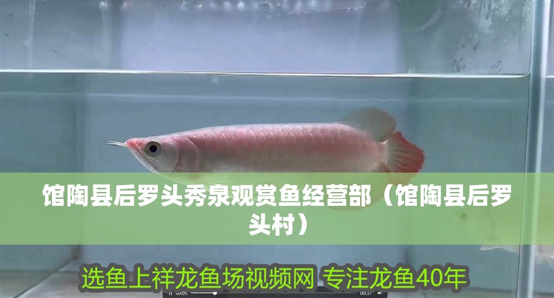 館陶縣后羅頭秀泉觀賞魚經(jīng)營部（館陶縣后羅頭村） 館陶縣后羅頭秀泉觀賞魚經(jīng)營部（館陶縣后羅頭村） 全國水族館企業(yè)名錄