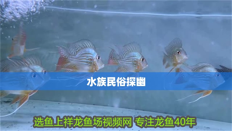 水族民俗探幽
