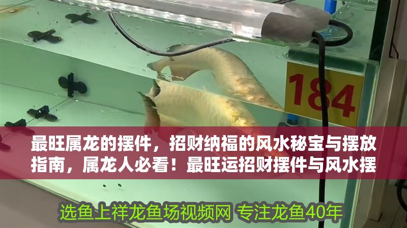 最旺屬龍的擺件，招財納福的風水秘寶與擺放指南，屬龍人必看！最旺運招財擺件與風水擺放全指南