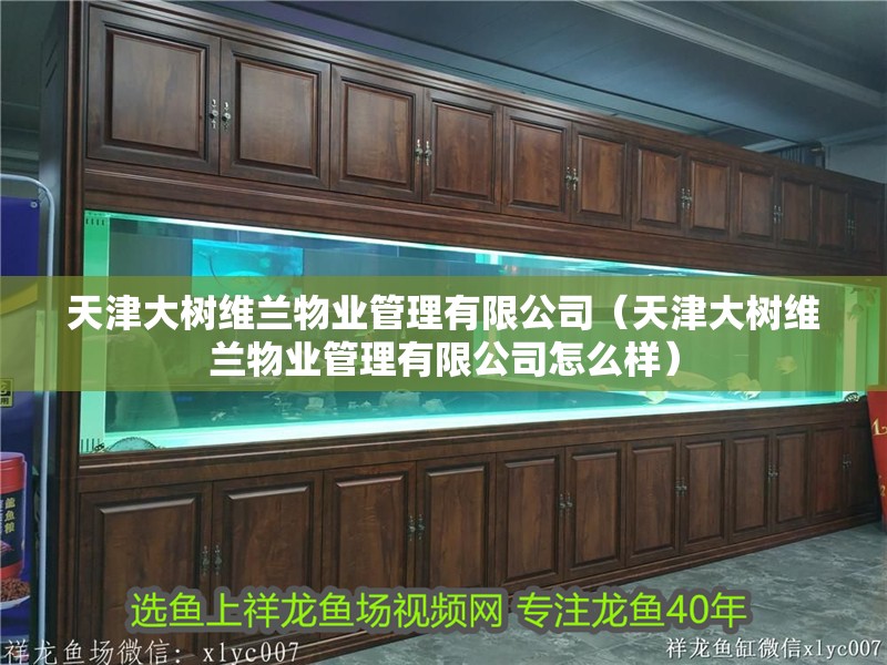 天津大樹維蘭物業管理有限公司（天津大樹維蘭物業管理有限公司怎么樣）