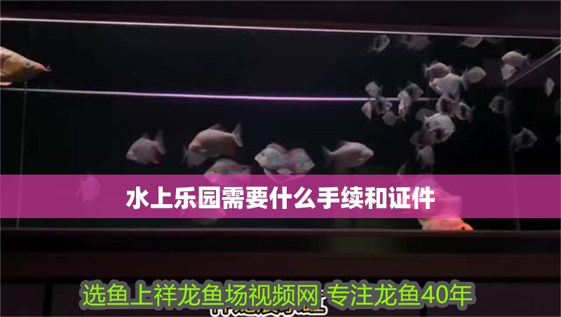 水上樂(lè)園需要什么手續(xù)和證件