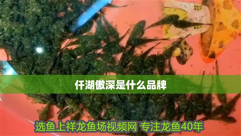 仟湖傲深是什么品牌