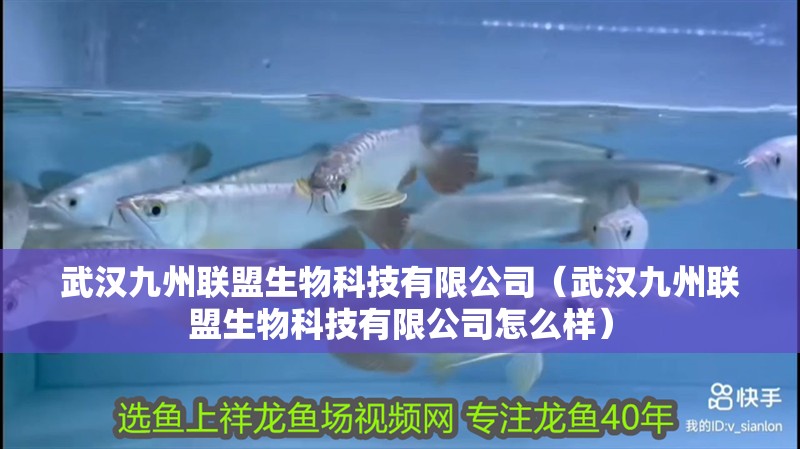 武漢九州聯盟生物科技有限公司（武漢九州聯盟生物科技有限公司怎么樣）