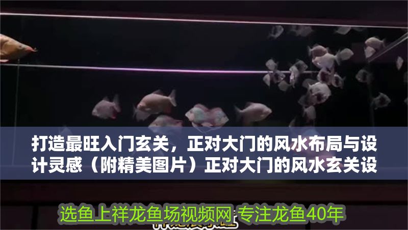 打造最旺入門玄關，正對大門的風水布局與設計靈感（附精美圖片）正對大門的風水玄關設計，招財布局與靈感圖解