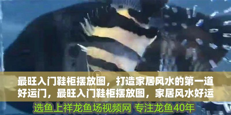 最旺入門鞋柜擺放圖，打造家居風水的第一道好運門，最旺入門鞋柜擺放圖，家居風水好運第一門