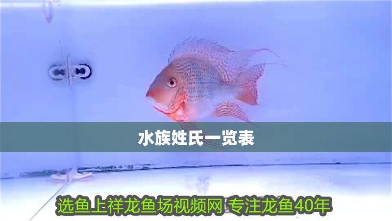 水族姓氏一覽表 水族姓氏一覽表 龍魚(yú)論壇
