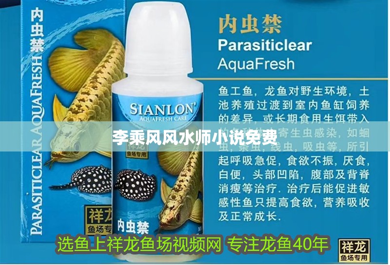 李乘風風水師小說免費