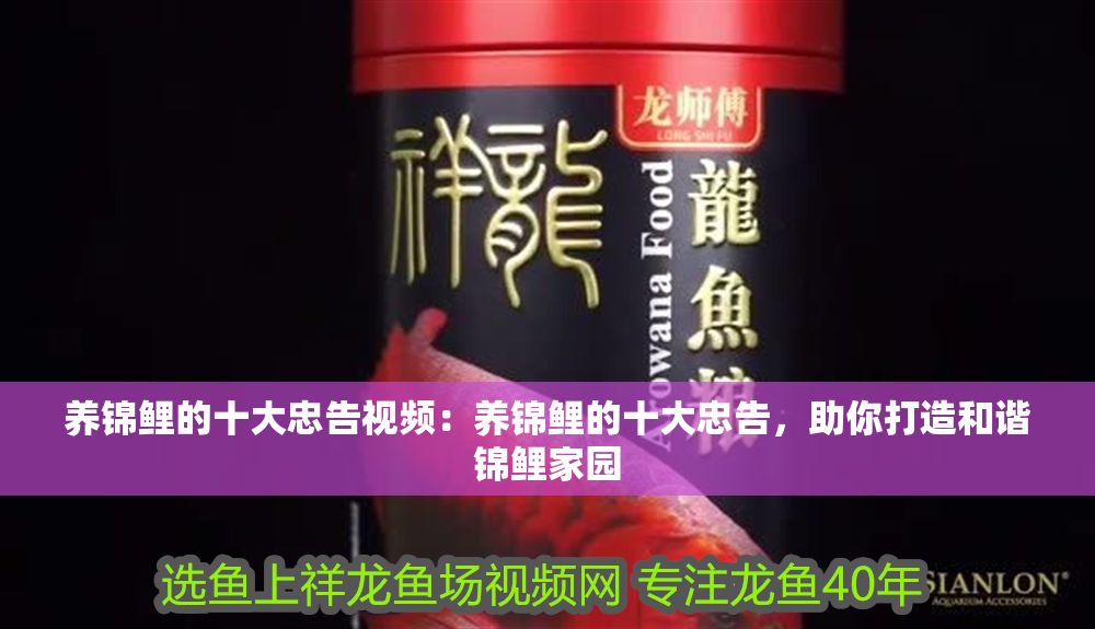 養(yǎng)錦鯉的十大忠告視頻：養(yǎng)錦鯉的十大忠告，助你打造和諧錦鯉家園