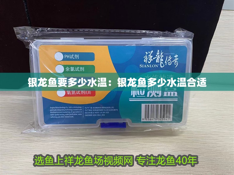 銀龍魚要多少水溫：銀龍魚多少水溫合適
