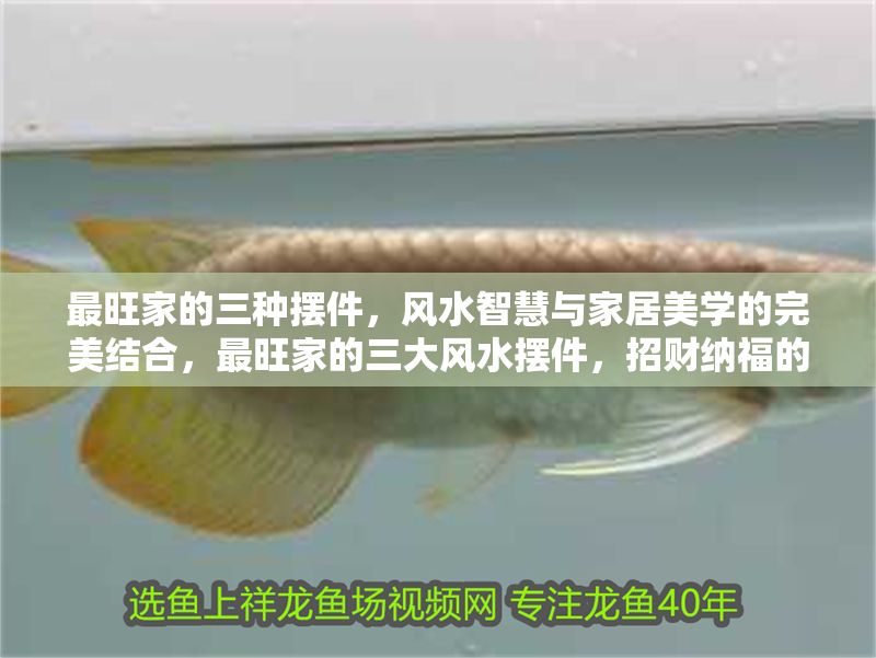 最旺家的三種擺件，風水智慧與家居美學的完美結合，最旺家的三大風水擺件，招財納福的家居美學指南