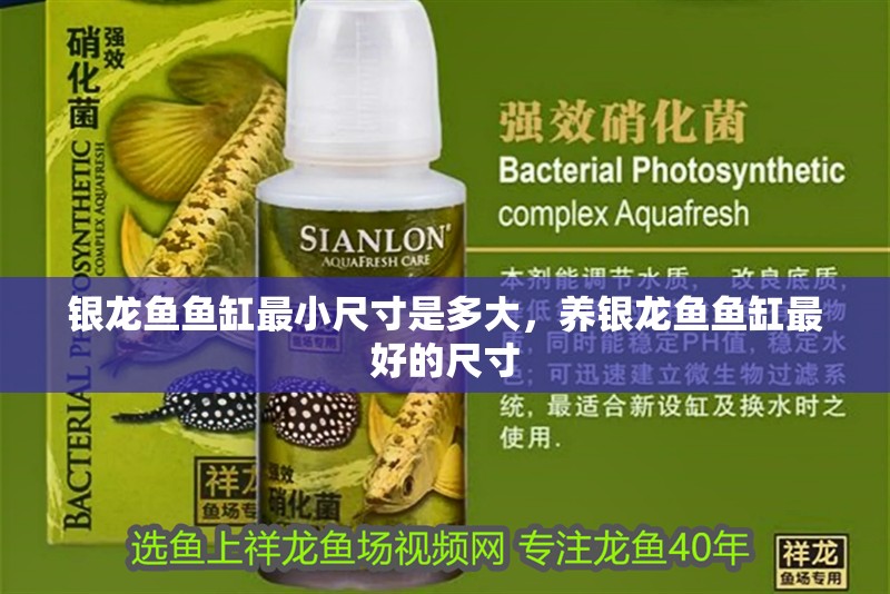 魚缸用增氧泵價格是多少:魚缸增氧機-xtrac增氧機-xtrac增氧機 銀龍魚魚缸最小尺寸是多大,養銀龍魚魚缸最好的尺寸 銀龍魚百科 銀龍魚魚缸最小尺寸是多大,養銀龍魚魚缸最好的尺寸 銀龍魚魚缸最小尺寸是多大,養銀龍魚魚缸最好的尺寸 銀龍魚百科