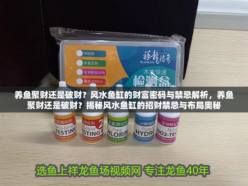養魚聚財還是破財？風水魚缸的財富密碼與禁忌解析，養魚聚財還是破財？揭秘風水魚缸的招財禁忌與布局奧秘